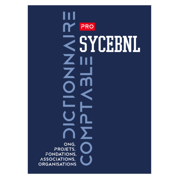 Dictionnaire Comptable SYCEBNL