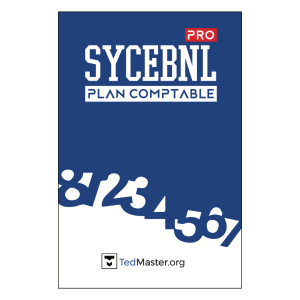 Plan Comptable Pro SYCEBNL